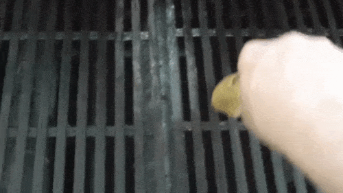 Cleaning Metal Grill Rubbing Lemon GIF