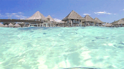 Clear Ocean Waves With Shoal Of Fish Under GIF