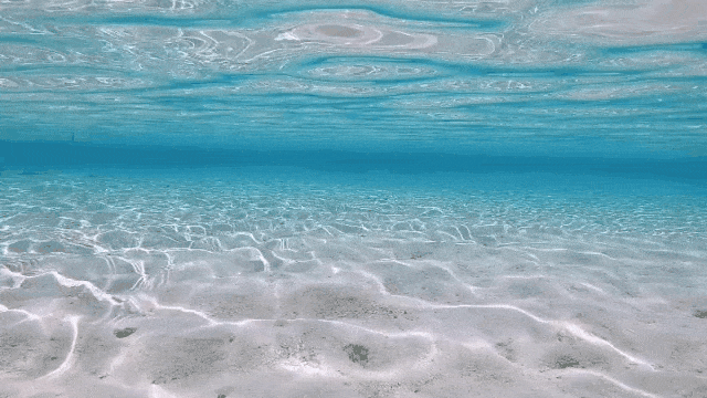 Clear Water Under The Sea GIF