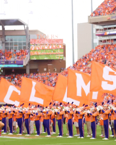 Clemson Flag Letterings GIF