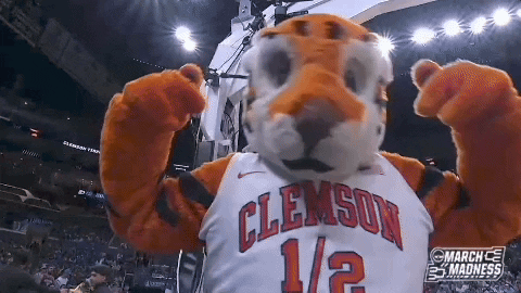 Clemson Mascot Clapping GIF