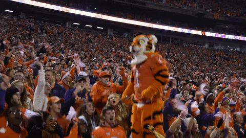 Clemson Mascot With Crowd Cheering GIF