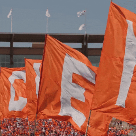 Clemson Orange Flag GIF