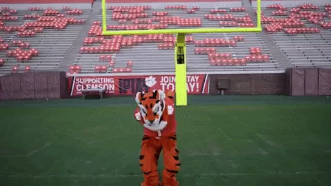 Clemson Tiger Mascot Back Flip GIF