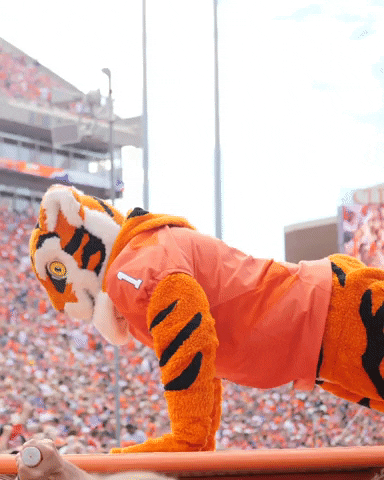 Clemson Tiger Mascot Push Up GIF