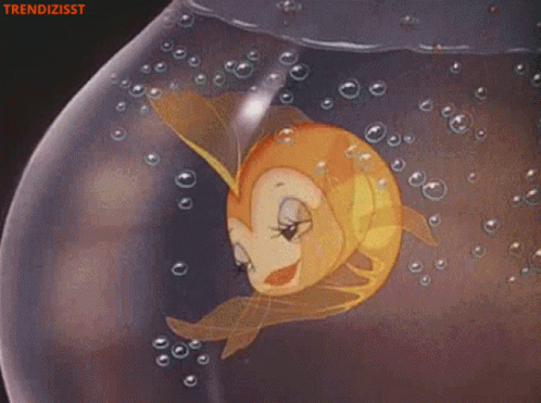 Cleo The Fish Eyelashes Bats GIF