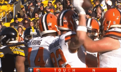 Cleveland Browns Gary Barnidge Touchdown GIF