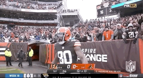 Cleveland Browns Jarvis Landry Touchdown GIF