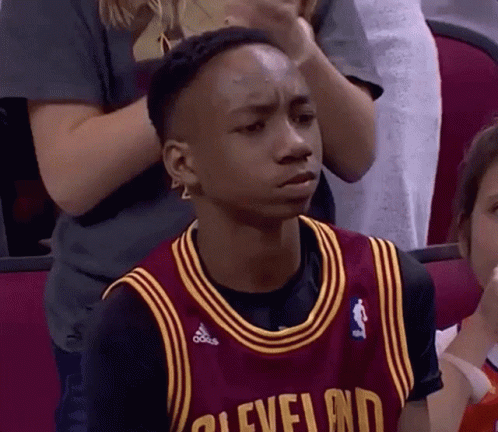 Cleveland Cavaliers Supporter Barely See GIF