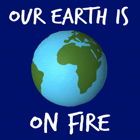 Climate Change Our Earth Is On Fire GIF
