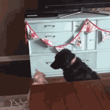 Clingy Dog Hug GIF