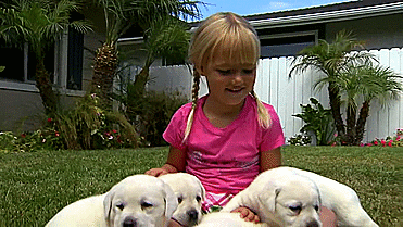 Clingy Puppy Little Girl GIF