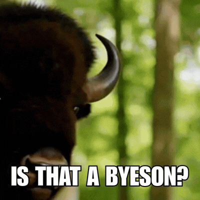 Close Up Bison Is That a Byeson