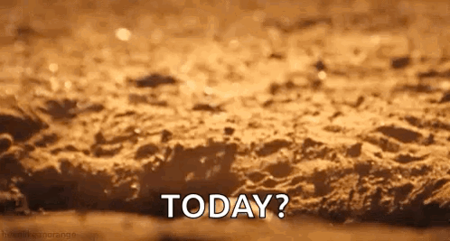 Close-Up Bread Saying Today GIF