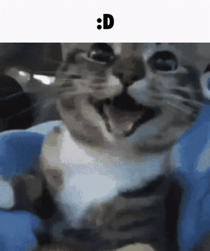 Close Up Cat Face D