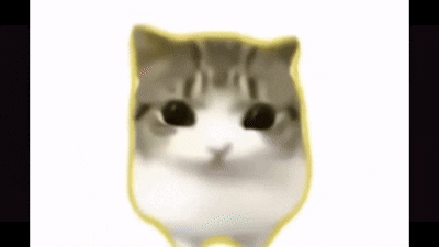 Close Up Cat Face With Yellow Border