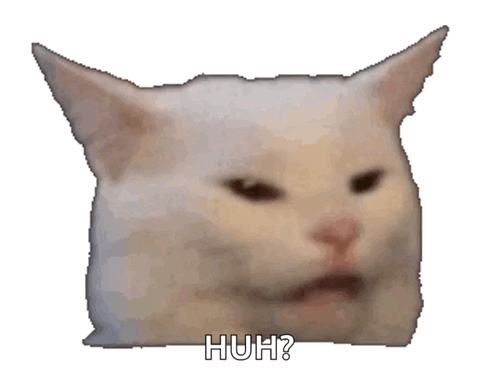 Close Up Cat Saying Huh