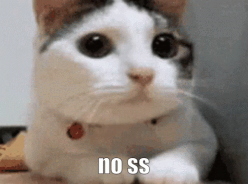 Close Up Cat Saying No Ss