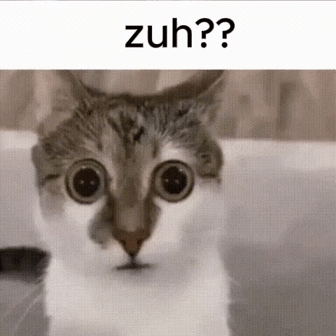 Close Up Cat Saying Zuh?