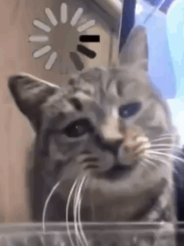 Close-Up Cat With Loading Screen GIF
