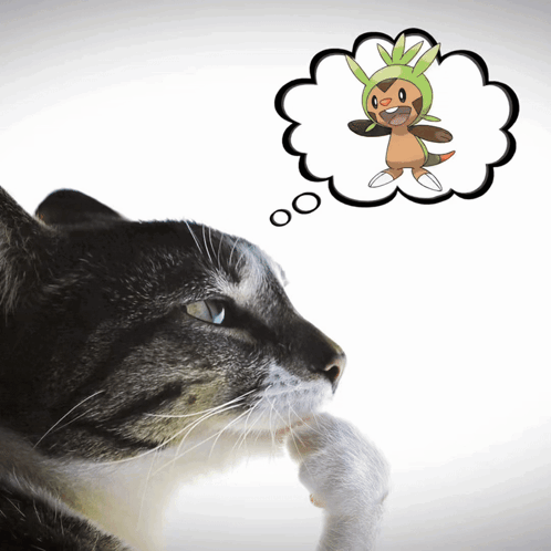 Close-Up Cat with Startamilchat.in