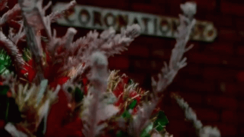 Close Up Christmas Wreath With Sign
