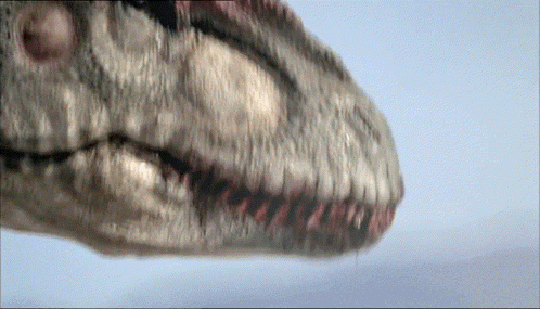 Close Up Dinosaur Face With Mouth Open