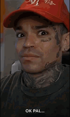 Close Up Dog Face Saying Ok Pal GIF