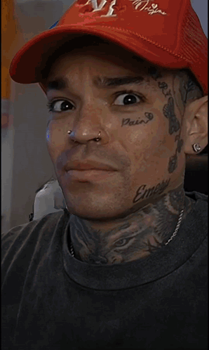 Close Up Dog Looking at Camera