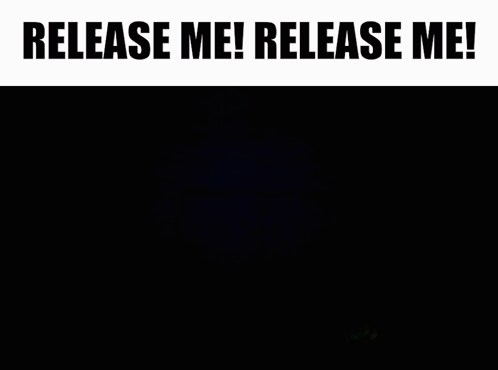 Close Up Face Saying Release Me GIF