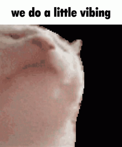 Close Up Face We Do a Little Vibing