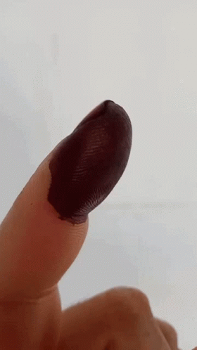 Close Up Finger With Black Paint