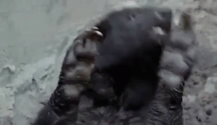 Close Up Foot On Rock In Water