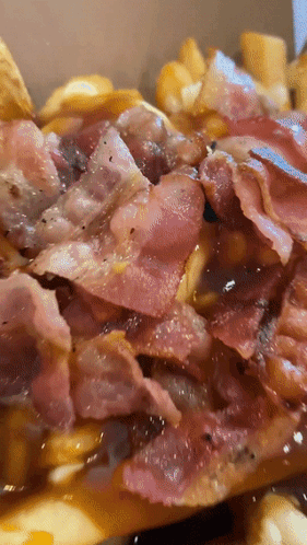 Close Up French Fries with Bacon