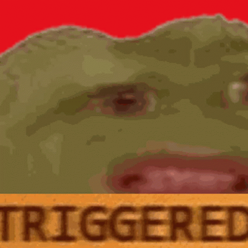 Close Up Frog Face With Triggered
