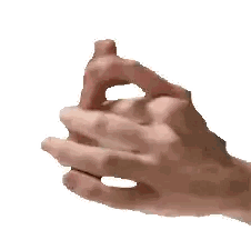 Close-up Hand Holding