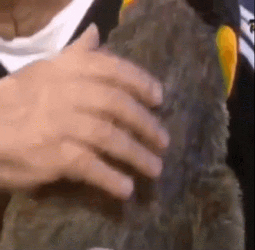 Close Up Hand Holding Object