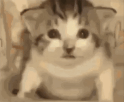 Close Up Man Crying With Tears GIF