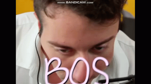 Close Up Man With Bos On Face
