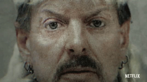 Close Up Man With Mustache
