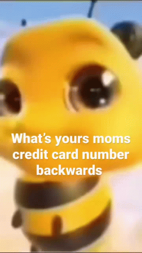 Close Up of a Bee Saying What's Your Mom's Credit Card Number Backwards