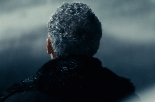 Close Up of Back With Gray Hair