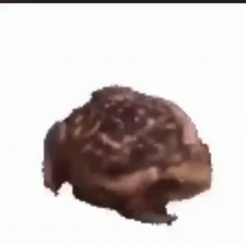 Close Up of Brown Object