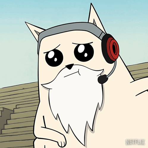 Close Up Of Cat Face GIF
