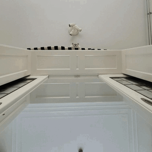 Close Up Of Cat Face On Striped Blanket GIF