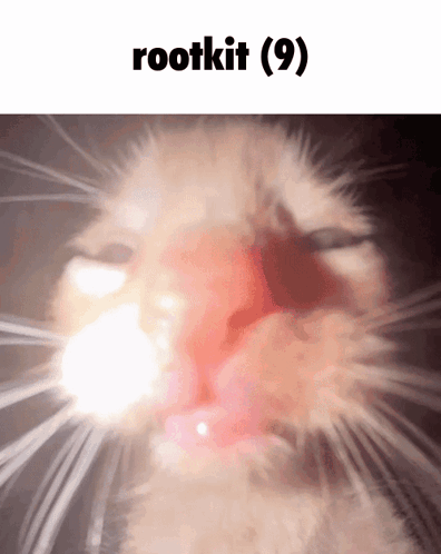 Close Up of Cat Face Rootkit Caption