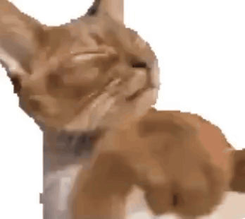 Close Up of Cat's Face