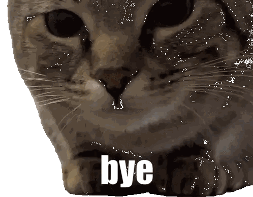 Close Up Of Cat With Bye Written