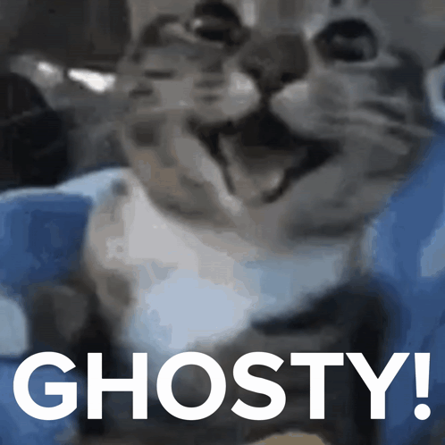 Close Up of Cat with Ghosty Text