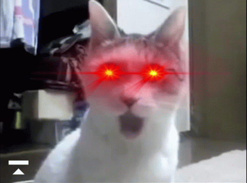 Close Up Of Cat With Red Eyes And Arrow GIF